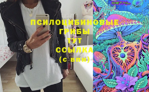 крисы Верея