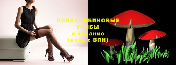 крисы Верея