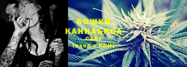 крисы Верея