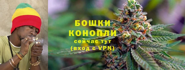 крисы Верея