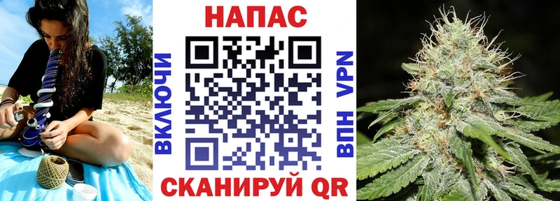 Конопля VHQ Малоярославец